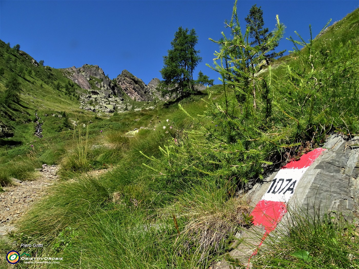 22 Dopo il bosco di faggeta-abetaia  entro nel lariceto e salgo ai pascoli magri della Val Pianella .JPG